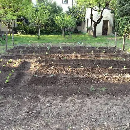 Il Giardino Segreto 3*
